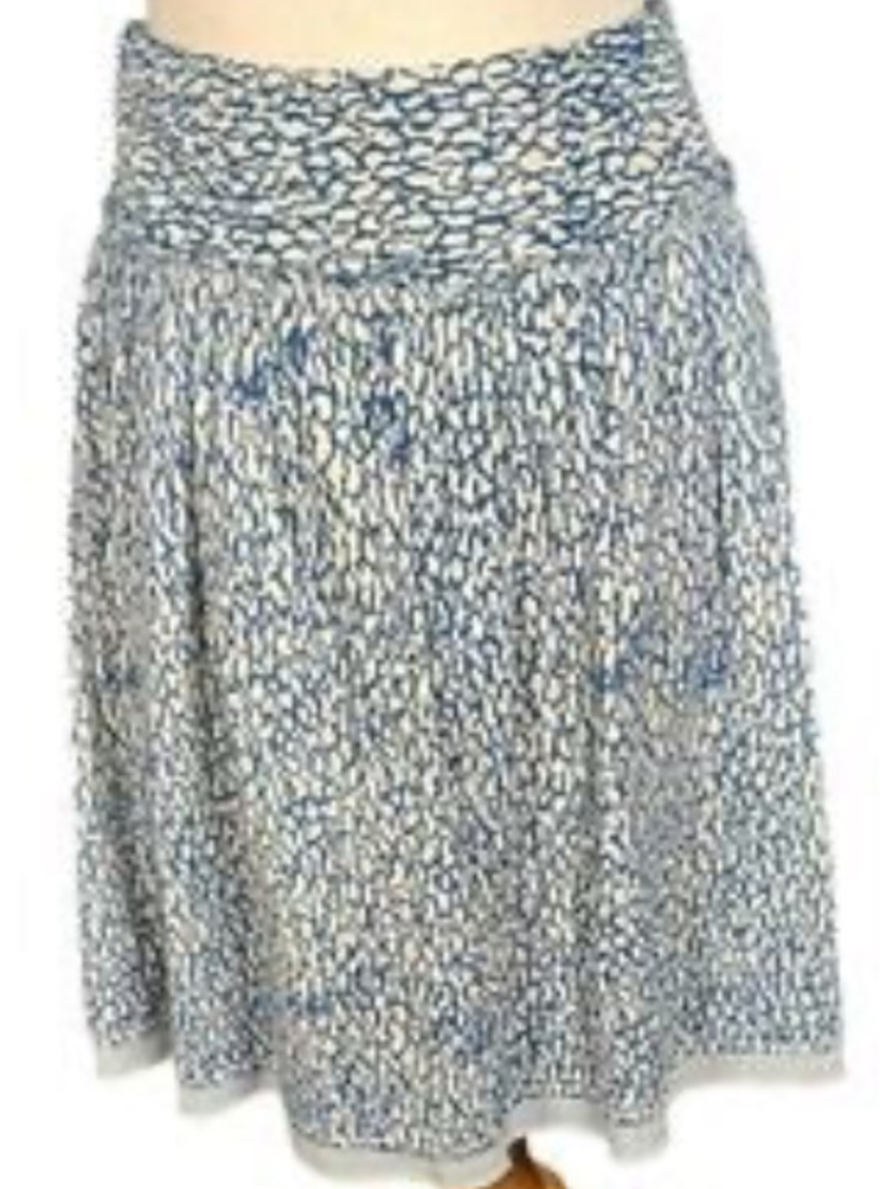 AEO Floral Skater Skirt with White Slip, 12